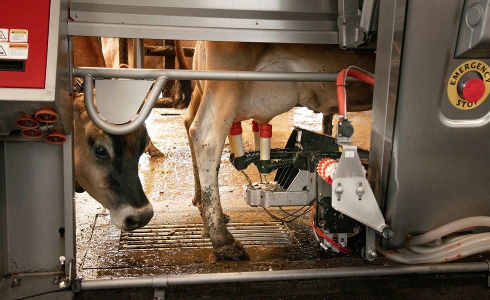 Agriculture intelligente : comment les technologies dopent le rendement de votre exploitation
