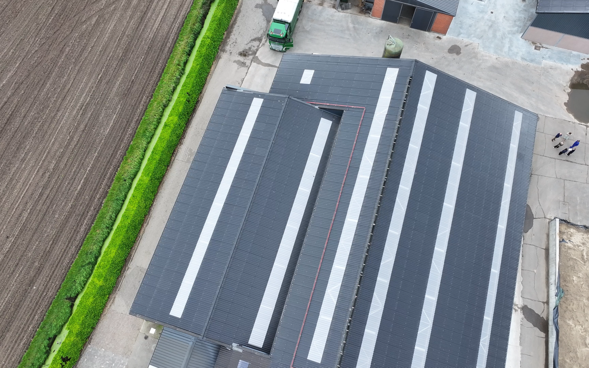 Een optimaal stalklimaat begint bij het juiste dak