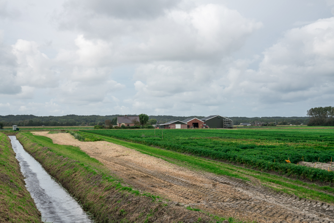 Agriculture intelligente : comment les technologies dopent le rendement de votre exploitation