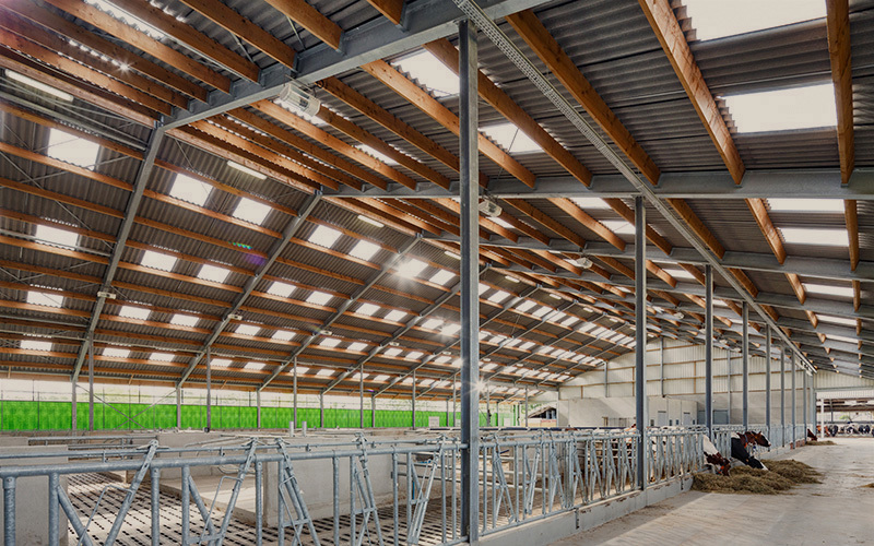 Como é que o acordo UE-MERCOSUL vai afectar a sua exploração agrícola?