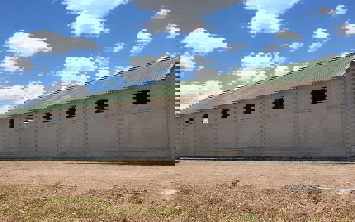 Protecção das explorações de ruminantes contra a febre catarral ovina