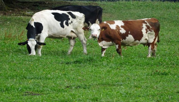 Waarom duurzaamheid zo belangrijk is voor landbouwers