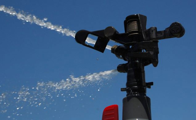 Hoe vermijd je hittestress onder een golfplaten dak?