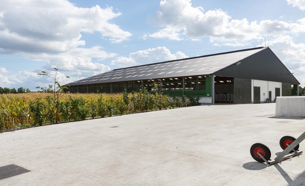 Kies de juiste kleur voor het dak van je agrarische gebouw