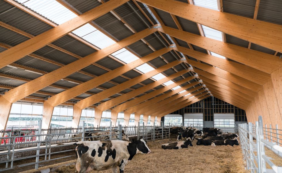 Altijd gezonde koeien in de ideale omgeving voor rund- en melkvee