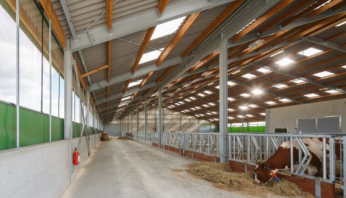 Altijd gezonde koeien in de ideale omgeving voor rund- en melkvee