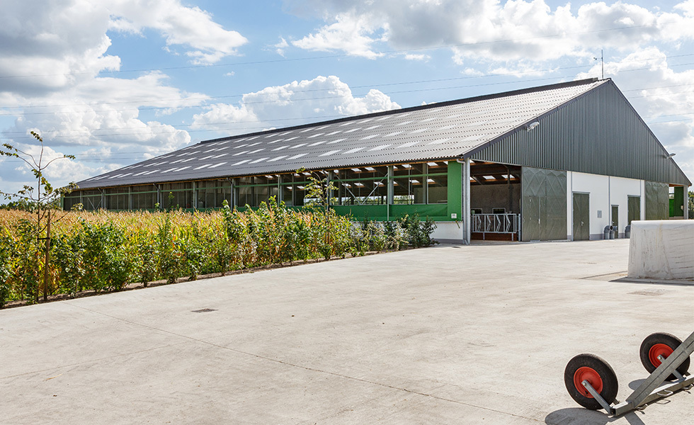 Wellplatten - seit über 100 Jahren