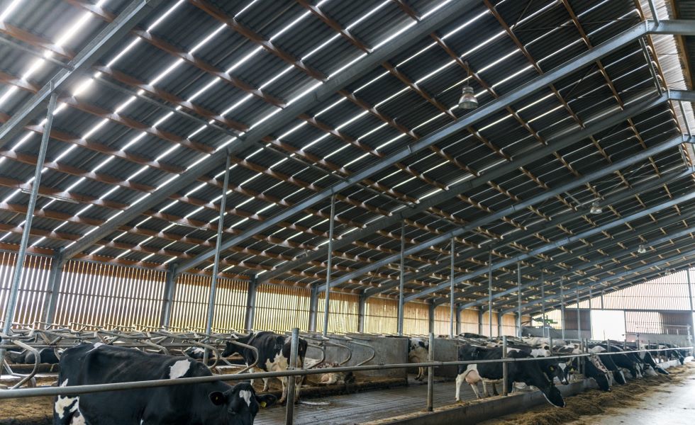 Kuidas reguleerida niiskust taluhoonetes?