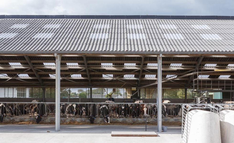 Hoe regel je de vochtigheidsgraad in agrarische gebouwen? 