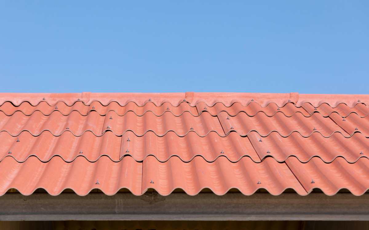 La bioseguridad en el ganado ovino de leche comienza en la propia explotación