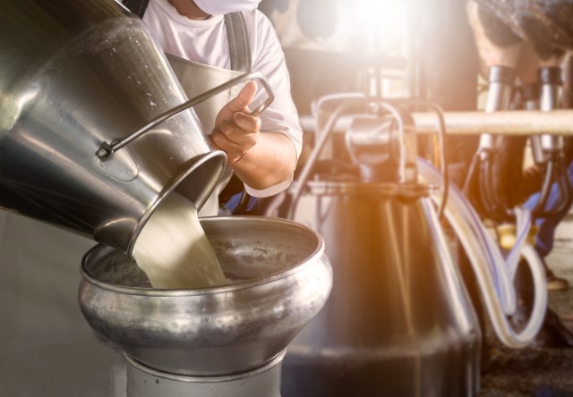 Cómo prevenir los efectos de las altas temperaturas en el vacuno de leche