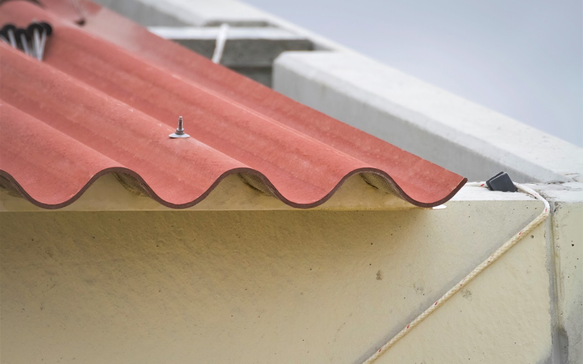 Aislamiento térmico en porcino (V). Resistencia térmica.  Coeficiente de convección.