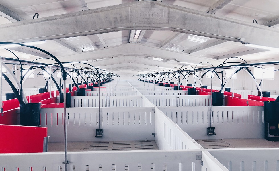 La durabilidad y el bajo mantenimiento de las placas de fibrocemento también contribuyen a la sostenibilidad.