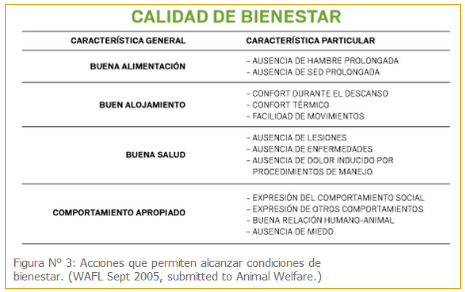 ¿Qué es el Bienestar Animal?