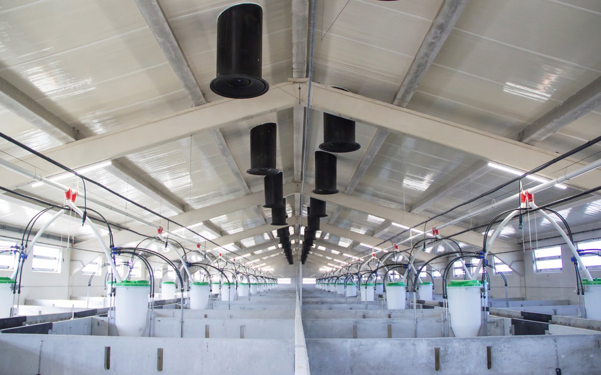 5 aspectos clave en la construcción de naves ganaderas porcinas