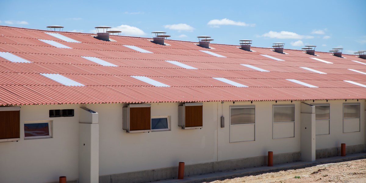 5 aspectos clave en la construcción de naves ganaderas porcinas