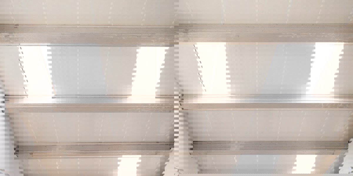 La importancia de la luz natural para tus animales y para la productividad agrícola