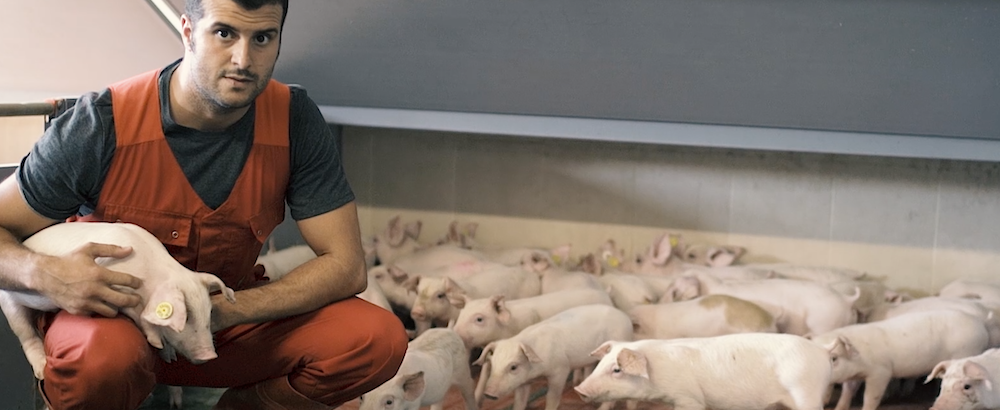 ¿Por qué es importante la limpieza y desinfección de las naves ganaderas?