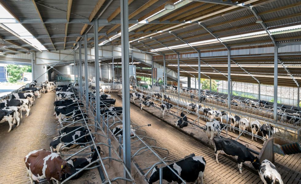 Eternit, een eeuw aan dakbedekkingsoplossingen voor landbouwers 