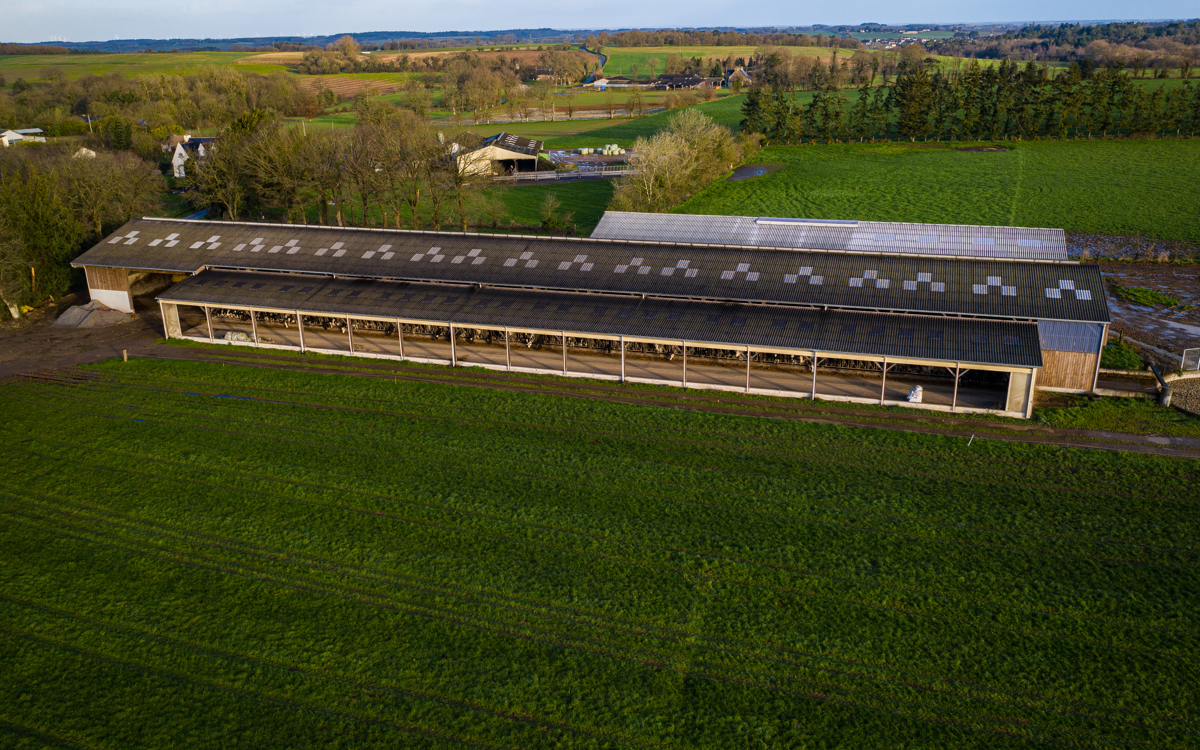 Rallye des bâtiments laitiers : les éleveurs parlent aux éleveurs