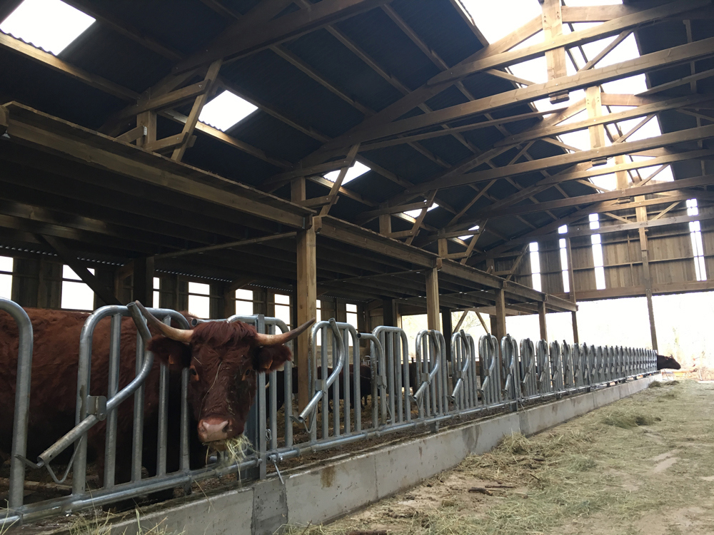 En chantier ! Bâtiment agricole avec plaques ondulées et solution d’éclairage naturel