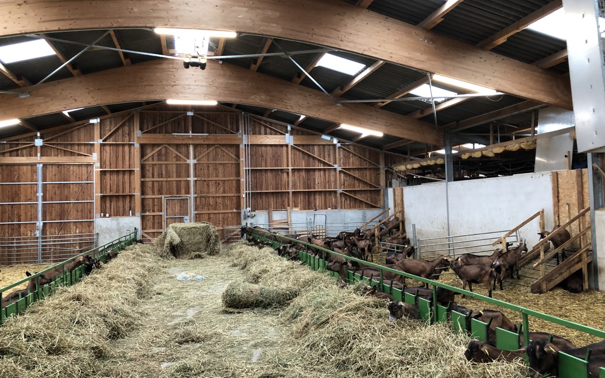 Ferme bio du Grand Ried