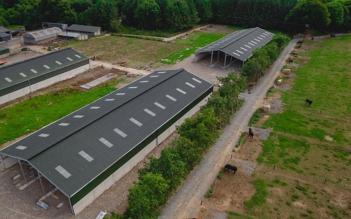 How agricultural roofing can maximise animal welfare