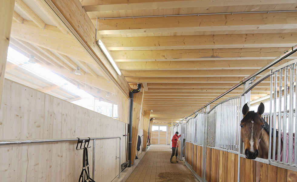 Como pode a cobertura agrícola contribuir para a maximização do bem-estar animal