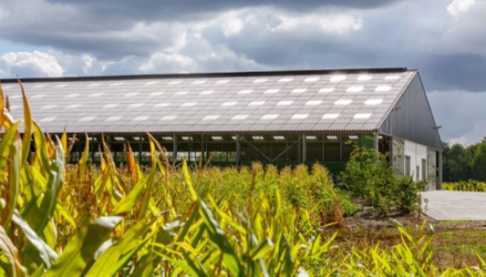 Aumenta el bienestar animal con unas construcciones óptimas para los animales de granja