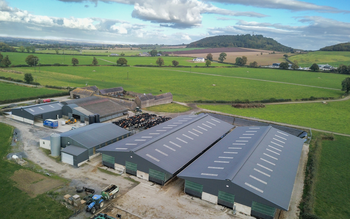Euronit AgriBild corrugated metal sheeting on dairy farm shed in Ireland
