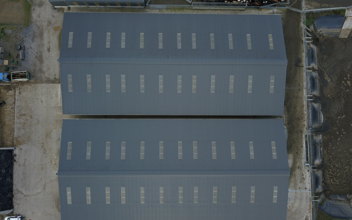 Dairy cows in cubicle housing on Gearoid Booth's farm in Co. Laois, Ireland