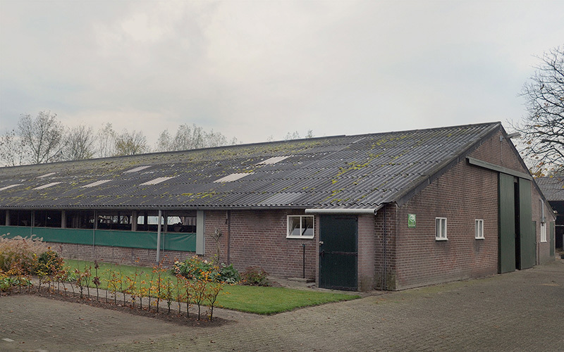 Wellplattendach vermoost