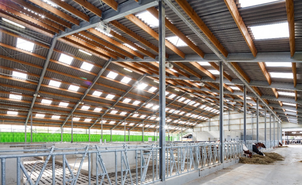 Loomuliku päevavalguse olulisus teie loomadele ja põllumajanduse tootlikkusele