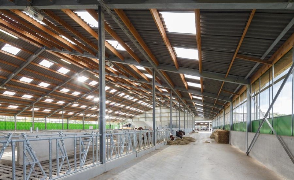 Waarom daglicht zo belangrijk is voor je dieren en je productiviteit