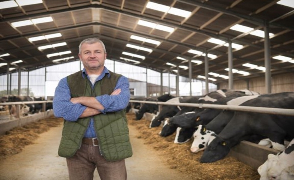 Waarom daglicht zo belangrijk is voor je dieren en je productiviteit