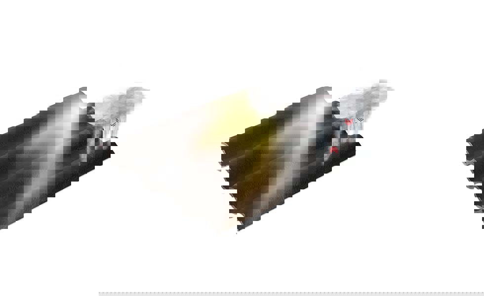 ¿Por qué elegir placas de fibrocemento Euronit para la cubierta de tu granja? 