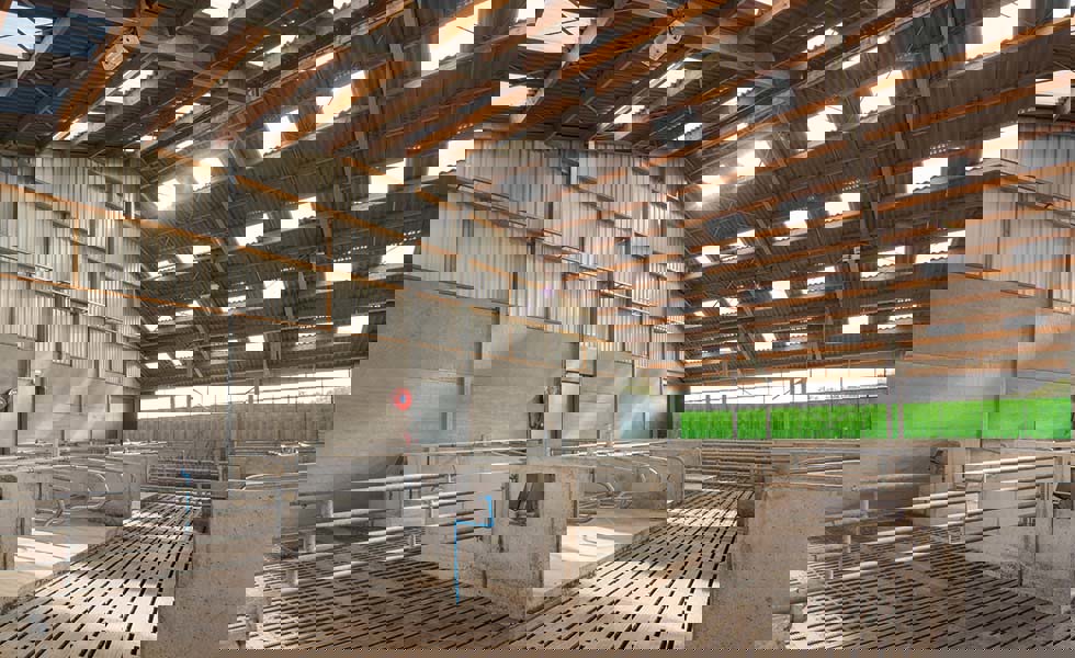 Pourquoi choisir les plaques ondulées en fibres-ciment Eternit pour la toiture de vos bâtiments agricoles ?