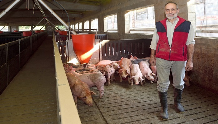 Porque escolher placas de fibrocimento Euronit para a cobertura da sua quinta?